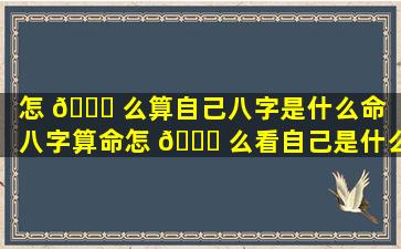 怎 🐘 么算自己八字是什么命（八字算命怎 🐟 么看自己是什么命）